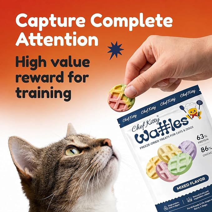 Waffle Freeze Dried Chicken Cat Treats | Healthy Kitten Treats Inspected in USA | Human Grade Dog & Cat Food Toppers | Without Additives, 4 Flavors, 4.0 oz