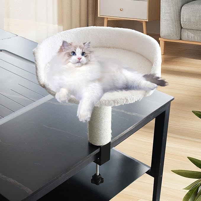 Desktop Cat Bed Round Hammock Elevated Perch for Indoor Cats Soft Stable Easy Assembly Kitten Furniture- White