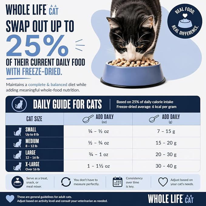 Whole Life Cat Just One Salmon Freeze Dried Cat Treats - Human Grade High Protein Food, Healthy Training Snacks, Freeze Dried Salmon Food Toppers, USA Made Natural Treats - 8 oz (Pack of 1)
