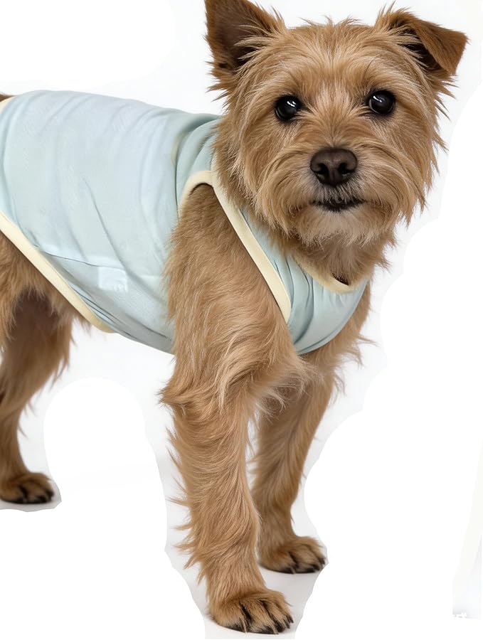 2Pcs Cooling Shirts for Small Dogs, Sleeveless Dog Vest, Lightweight Breathable Dog Summer Tank Top Sun Protection Shirts for Dogs Cats Pet Apparel (MintGreen Pink, X-Small Size for 1.1-3.3lb Pets)