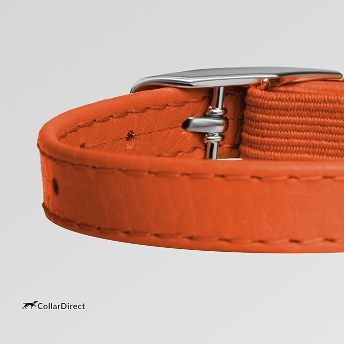CollarDirect Leather Cat Collar with Removable Bell – Safety Elastic Strap (Breakaway Alternative) – Kitten Collar for Small & Big Boy & Girl Cats