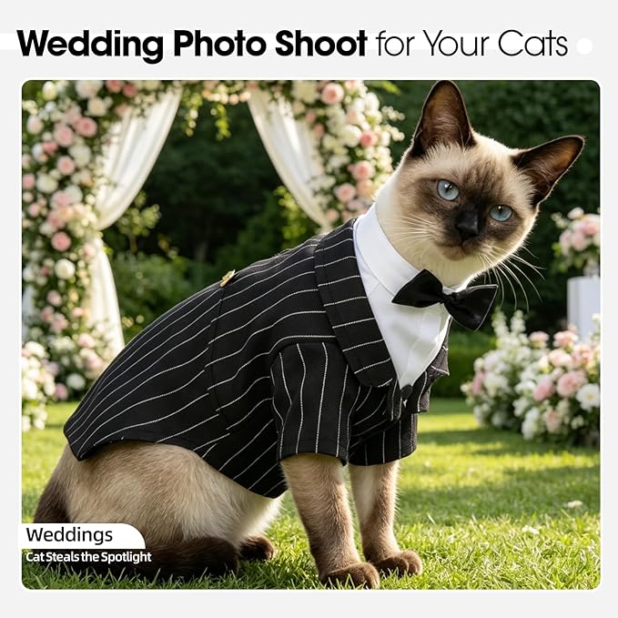 QBLEEV Cat Tuxedo Outfit, Formal Cat Suit Costume with Bow Tie, Sphynx Hairless Clothes for Cats Only, Kitten Wedding Birthday Party Attire Apparel for Male Boy, Cute Small Pet Gentleman Formal Wear
