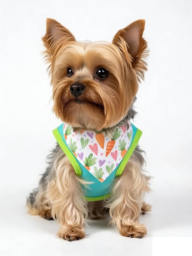 Small Dog Happy Easter Outfit Bunny Shirt & Bandanas Pet Cat Clothes Vest Blue L