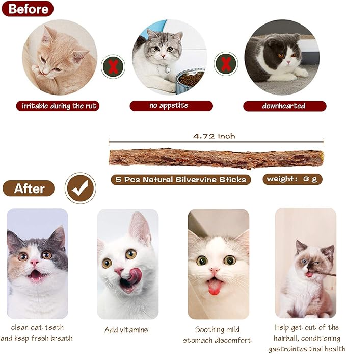 KABB Cat Toys for Indoor Cats, 3pcs 16 Inch Natural Wood Cat Teaser Wand Toy with Teaser Refills for Cat Kitten Having Fun Exerciser Playing, Bonus 5pcs Catnip Sticks for Cat Teeth Cleaning