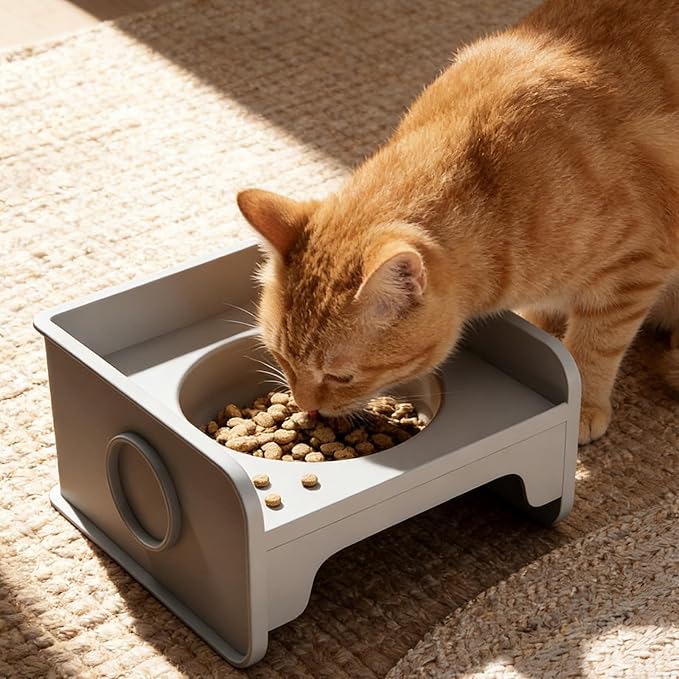 Cats Water Bowl AntiTip Design Feeder Food for Indoor and Outdoor Use Dog and Cats Feeding Watering Modern Pet Feeding Bowl