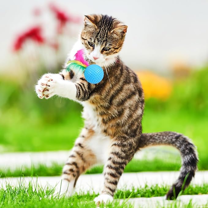 Ipetboom 24 Pack Cat Golf Balls for Indoor Kitten Toys, Interactive Cat Pom Pom Ball Toys for Exercise Chase Pounce Entertainment, Random Color