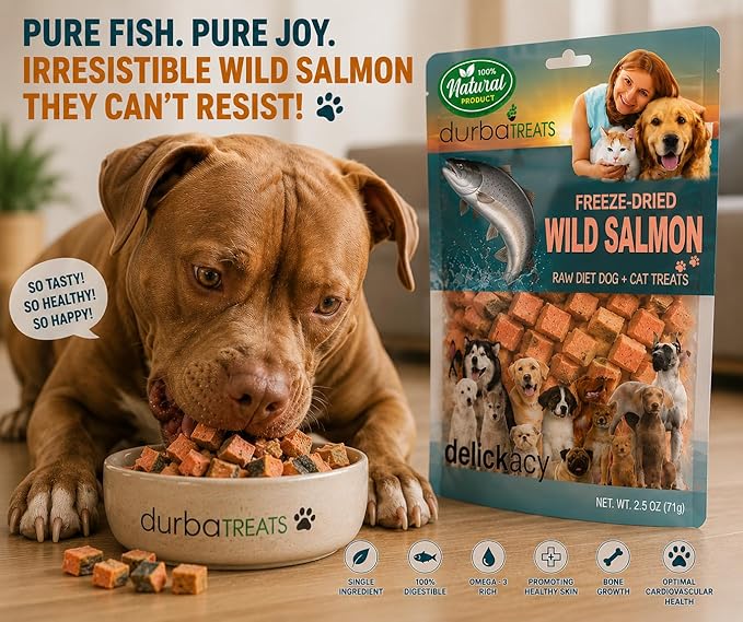 Freeze-Dried Wild-Caught Pink Salmon Treats for Dogs & Cats - Nutrient-Dense, Single-Ingredient Snack, Food Topper. Gluten-Free Weight Control, Training Bites, Allergy Friendly (2.5 Ounce, Salmon)