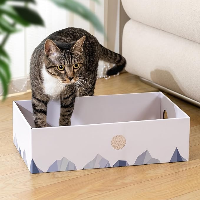 Conlun Cat Scratcher Box with Heavy-Duty Double-Sided Cardboard Pad, Cardboard Lounger, Interactive Hole Design, Cat Bed for Indoor Cats, White, Large