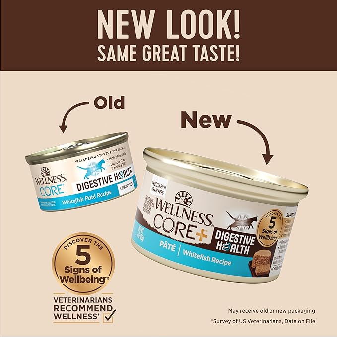 Wellness CORE+ Digestive Health Pate Adult Canned Wet Cat Food, Natural, Protein Rich, Grain Free, Whitefish Recipe, 3 oz, Pack of 12 Cans