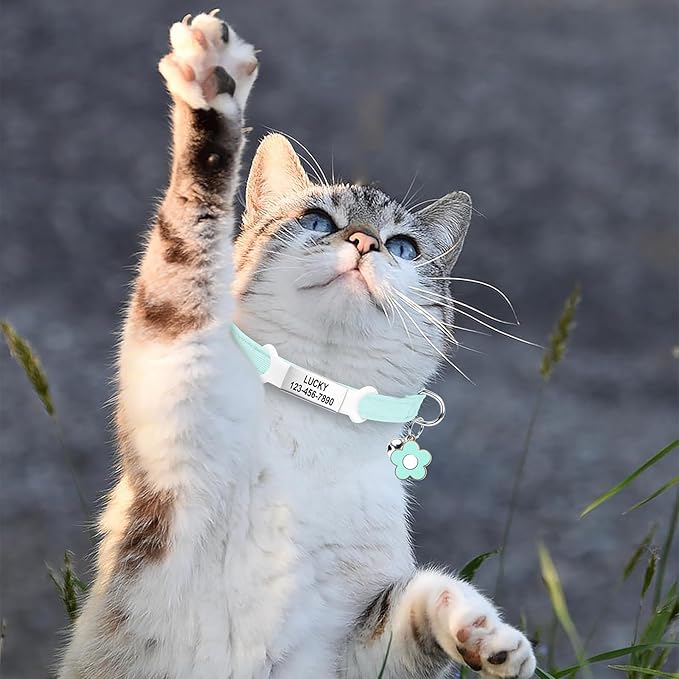 Personalised Glow in the Dark Cat Collar with Bell, Adjustable Breakaway Safety Luminous Collar with Stainless Steel Name Tag Fluorescent Glow (Grow in the Dark)
