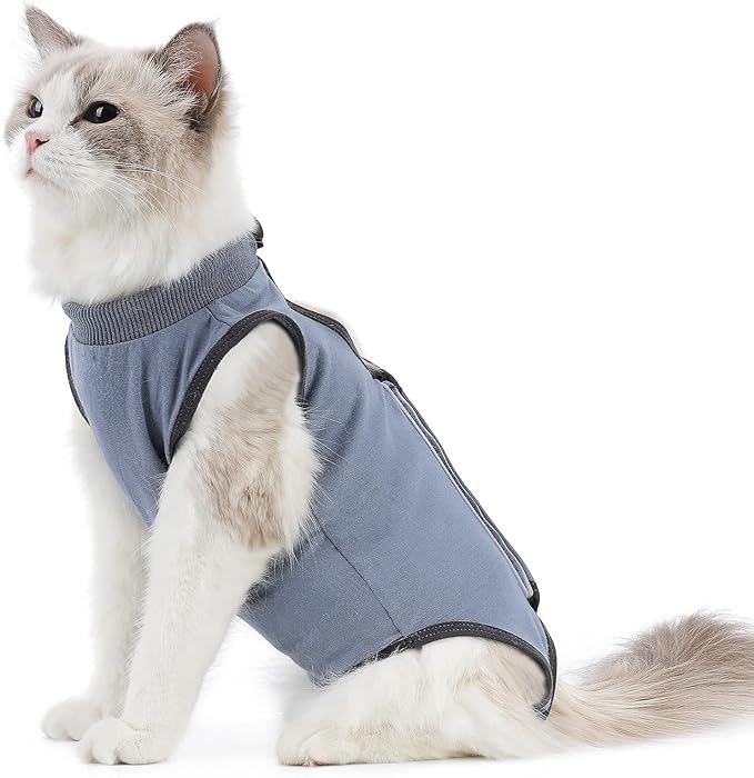 kzrfojy Cat Surgery Recovery Suit Cat Onesie for Cats After Surgery Spay Surgical Abdominal Wound Skin Diseases E-Collar Alternative Wear (Grey-Blue-S)
