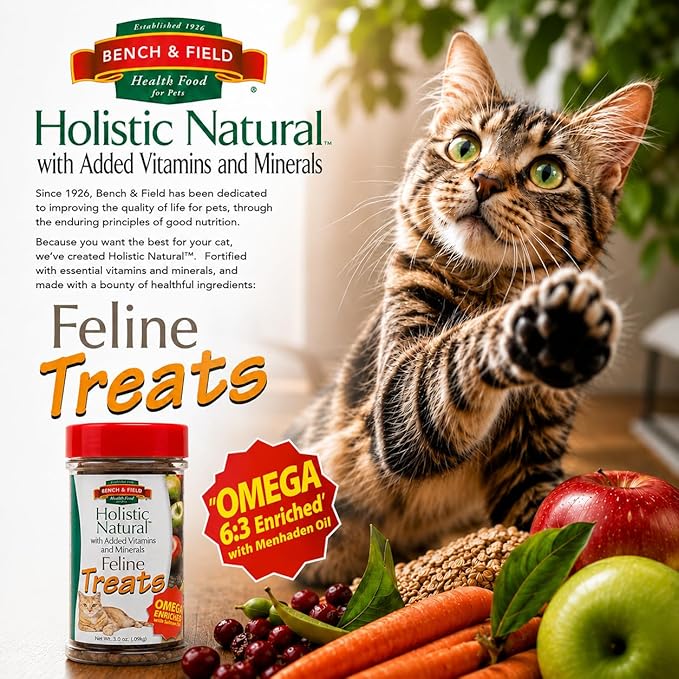 Bench & Field Holistic Natural Healthy Kitty Cat Treats | Crunchy Fish-Shaped Bites | Delicious Seafood Flavored Snack, 3-Ounce (Pack of 6 Bottles)