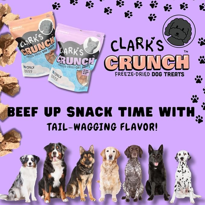| Freeze Dried Cat Treats | Beef Liver, Single Ingredient | Grain Free Training Treats for Cats, 2 oz Pouch