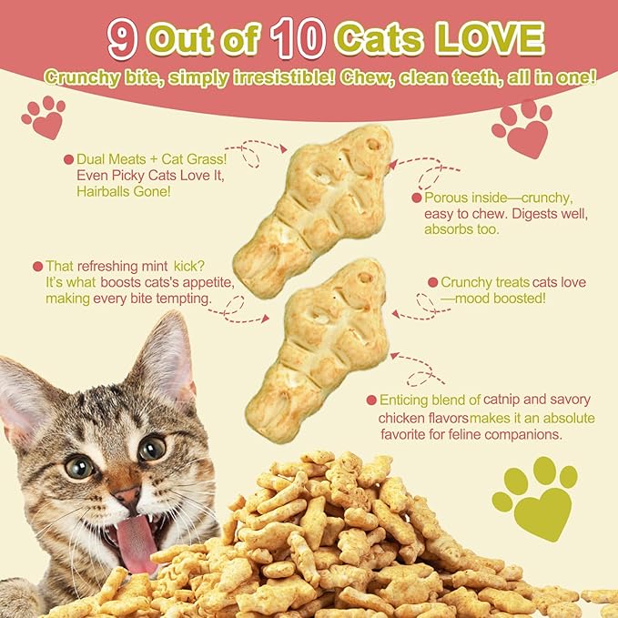 17.6 oz Cat Grass Treats for Indoor Cats - Hairball Control Natural Chicken & Catnip Flavor Healthy Kitten Snacks Crunchy Training Biscuits for Dental Cleaning