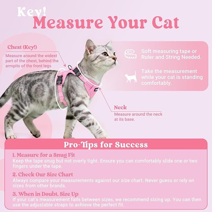 rabbitgoo Cat Harness and Leash, Escape Proof Vest with 3 Adjustable Buckles, Soft Comfortable Kitten Harness, Easy to Wear, Reflective for Safe Outdoor Walking, XS, Pink