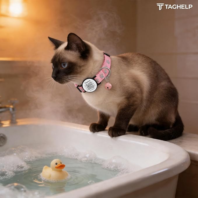 Smart QR Code Cat Collar 2-Pack: Your Cat's Digital Safety Profile, Breakaway Reflective Collar with Instant Email Alert When Scanned (Pink & Purple A)
