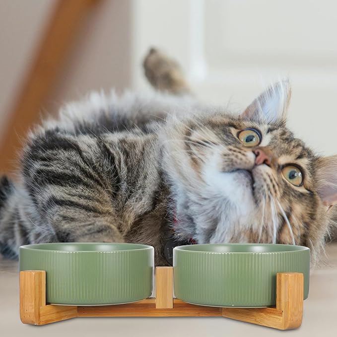 Ceramic Cat and Dog Feeding Bowl Set with Wood Stand, Non-Slip Raised Double Bowls for Pets, Matte Green Finish, Suitable for Indoor Feeding and Watering