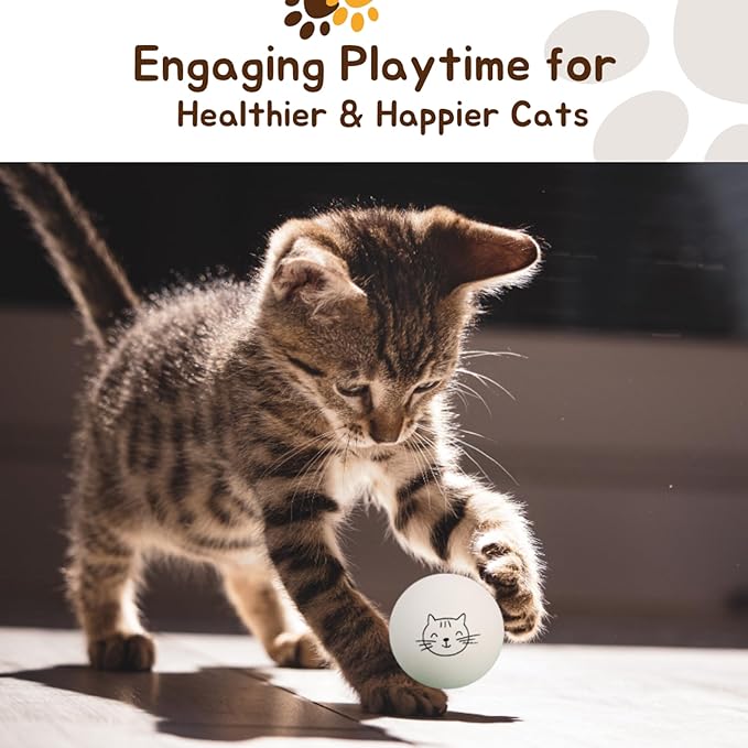Cloverjoyed Ping Pong Balls for Cats, 6 Pack, Enrichment Toys, Cat Lovers Gift Ideas, Ball Pits, Bouncy