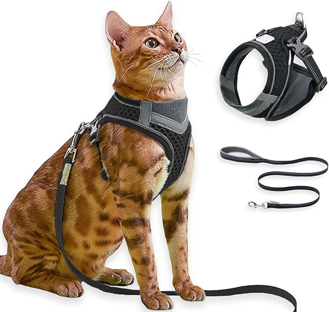 Cat Harness and Leash Set for Comfortable Outdoor Walking, Escape Proof, Adjustable Soft Kitten Vest Harness with Reflective Strip for Cats, Small Dogs (Black, M)