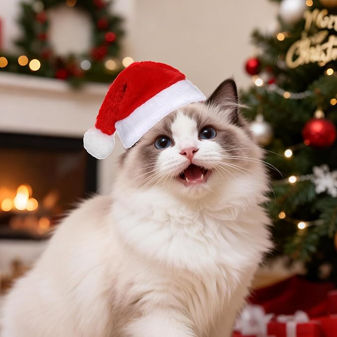 Jmkcoz 6 Pieces Pet Cat Dog Christmas Santa Hat Holiday Party Cute Costumes for Puppy Kitten Christmas Cosplay Dress Up Supplies (Classic)