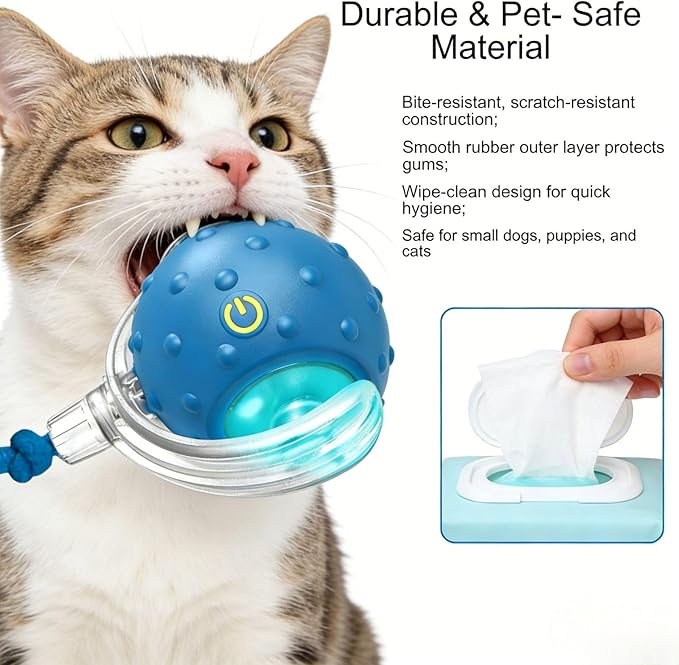 2PCS Interactive Cat Toys Ball, Tiny Fetch Interactive Dog Cat Toy Ball - 360° Automatic Scrolling with Birdsong, Smart Obstacle Avoidance, Rechargeable Boredom Buster for Pets (Blue+Red)