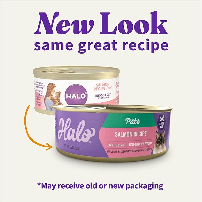 Halo Wet Cat Food Salmon Recipe, Grain Free Wet Cat Pate, Canned Cat Food for Extra Hydration, 5.5 Oz Can (Pack of 12)