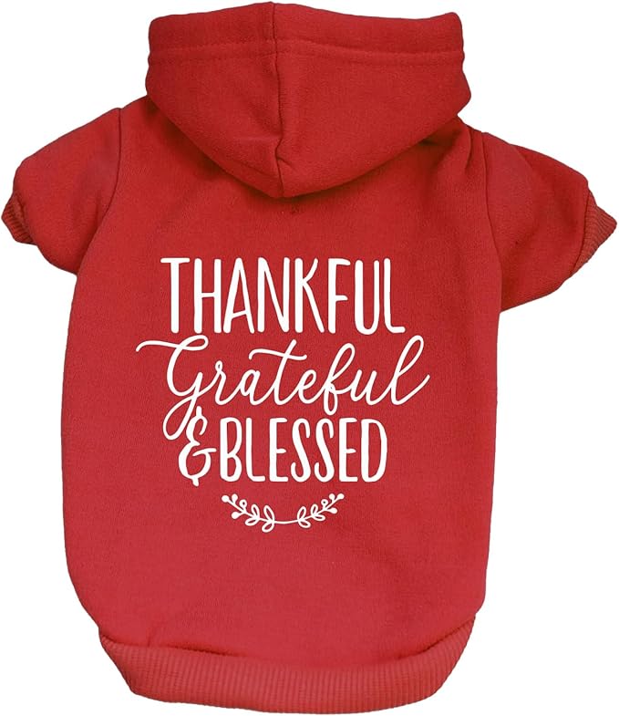 Thankful Grateful Blessed Dog Hoodie | Fleece Lined |Leash Hole| Thanksgiving | Fall|Red, 4X-Large 273