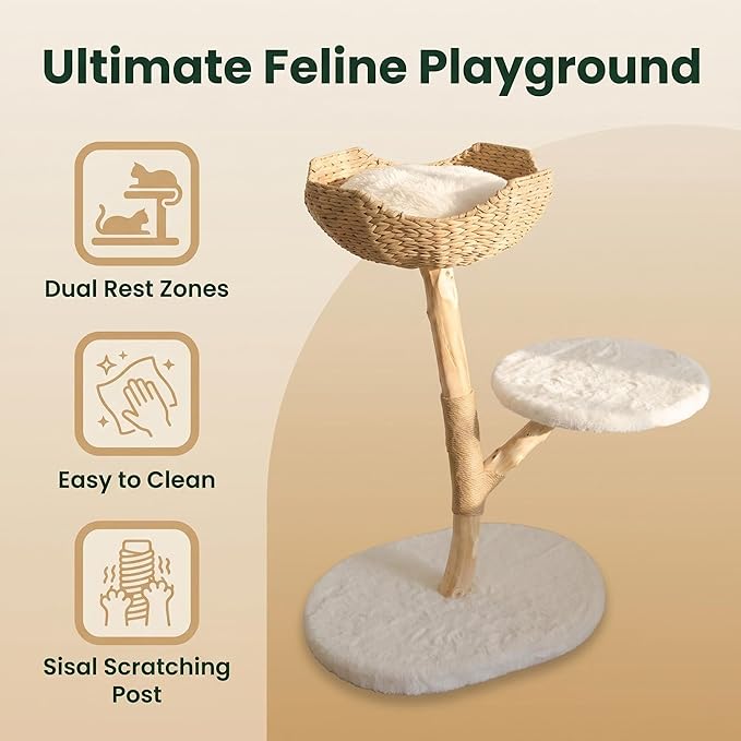 Modern Cat Tree, Natural Pear Wooden Cat Tower for Indoor Cats, Real Branch Luxury Cat Condo with Scratching Post & Hanging Toy Ball（35" Tall）