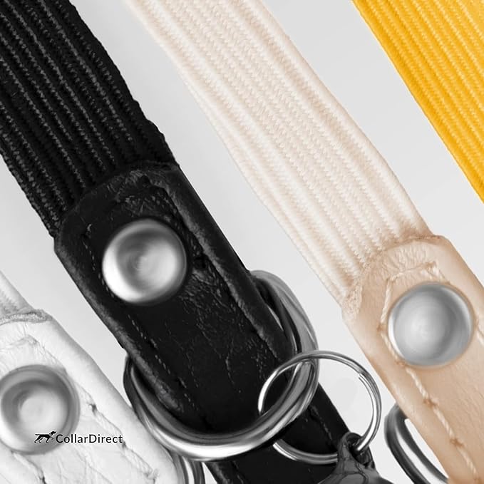 CollarDirect Leather Cat Collar with Removable Bell – Safety Elastic Strap (Breakaway Alternative) – Kitten Collar for Small & Big Boy & Girl Cats