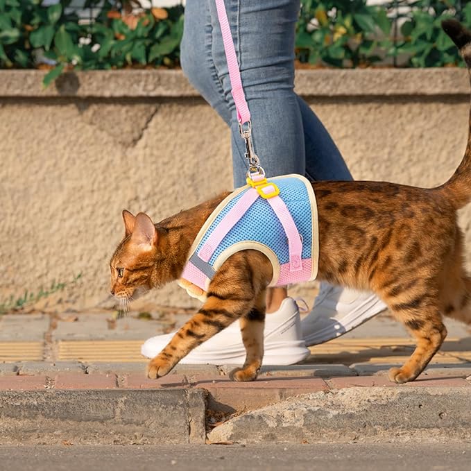 Cat Harness and Leash Set Escape Proof, Adjustable Cat Vest Harnesses Soft Kitten Harness Reflective Strips Jacket with Flower, Breathable Mesh Harnesses for Cats Puppy Easy to Wear Outdoor Walking