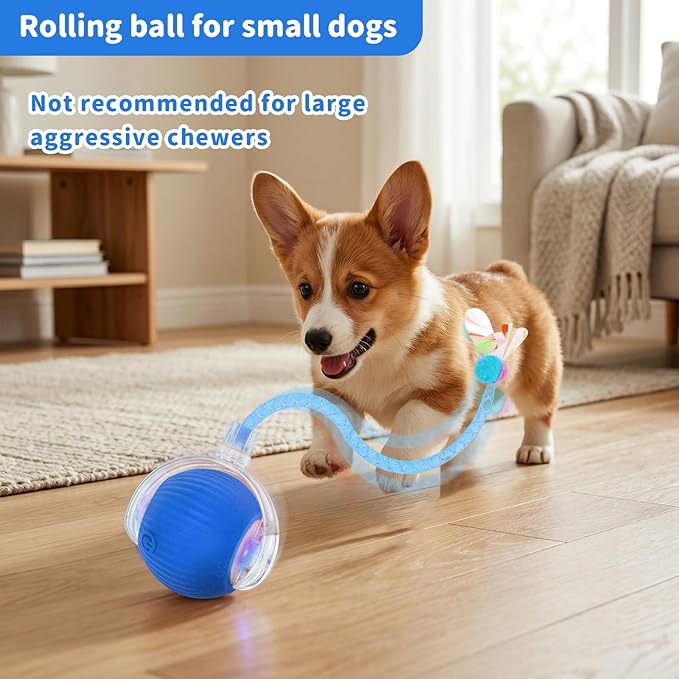 Interactive Cat Toys for Indoor Cats Smart Automatic Ball Rolling for Bored Kitten Pet Upgraded Speedy Moving Chase Dogs Toy Mothers Day Gifts Blue Dragonfly