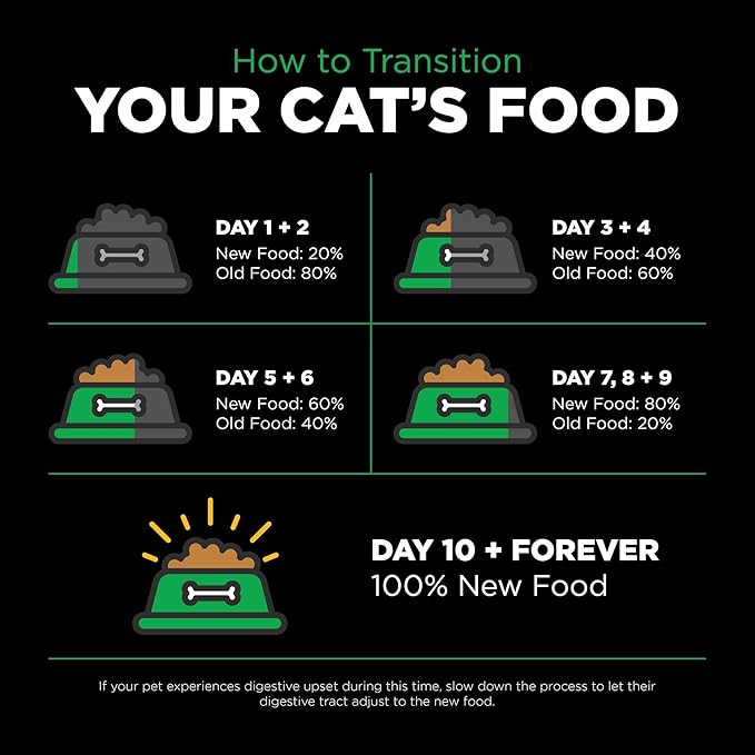 Go! Solutions Sensitivities Limited Ingredient Insect Grain-Free Dry Cat Food, Chicken-Free Kibble Made by Experts for Sensitive Stomachs & Food Allergies, for Adults, & Seniors, 12 lb Bag