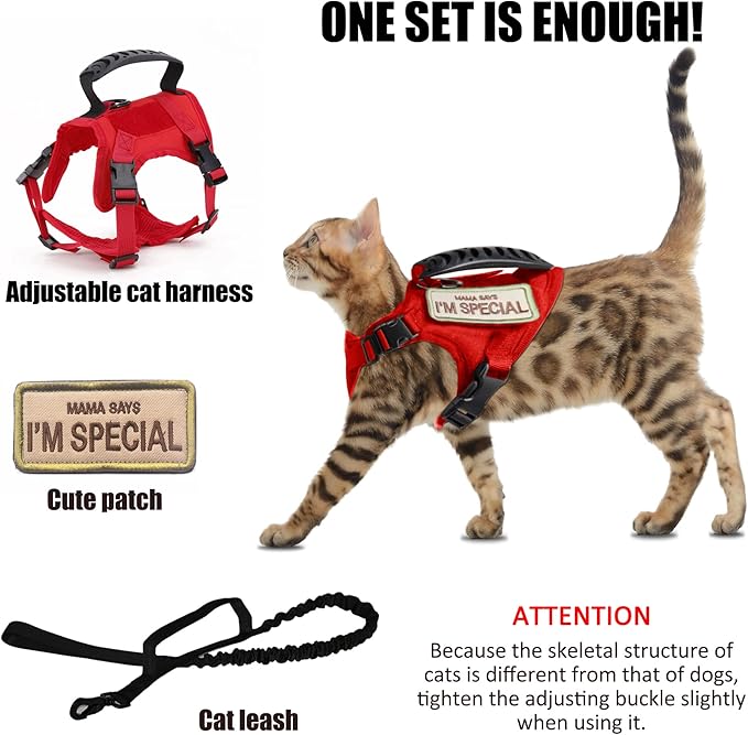 AIWAI Tactical Cat Harness for Walking Escape Proof, Adjustable Pet Vest Harness with Control Handle for Large Cat Small Dog, Soft Mesh, Gift with Patch