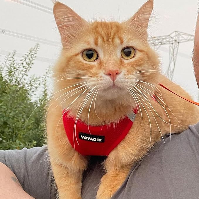 Voyager Step-in Pet Harness - All Weather Mesh, Adjustable Step in Harness for Cats and Dogs by Best Pet Supplies - 307S Red, M