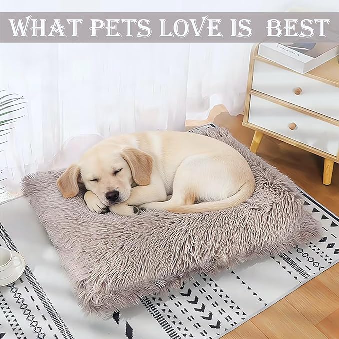 Washable Extra Large Medium Small Size Dog & Cat Bed Indoor, Calming Comfort Fluffy Self Warming Heated Couch Mat for Creat Cage, Heating Sofa Pad & Furniture for Big Sized Pet Puppy Bunny Rabbit Car