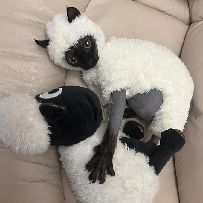 Warm Fleece Lined Winter Clothing for Sphynx & Devon Rex Cats | Soft Faux Lamb Wool | Cozy and Comfortable | Sheep Costume | XL 3.5-4.5 kg