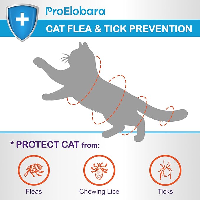 Topical Flea and Tick for Large Cats: Waterproof Topical Cat Flea and Tick – Fast-Acting & Long-Lasting at Home Control for Cats Over 9 lbs and 8 Weeks or Older – 12-Dose Supply