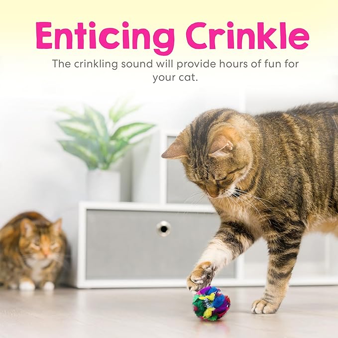 Crinkle Cat Toy Balls 12 Pack | Soft Cat Crinkle Toys for Indoor Cats & Kittens | Food-Grade Acetate Safer Than Mylar | Made in Canada
