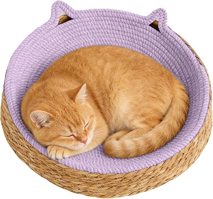 Cat Lounge Disc Bed Circular Sisal Fiber Ventilated Cooling Scratch Board Pad Rest Sleep Toy Tunnel Jump Fitness Paw Care Relaxation Ergonomic Nonslip FurnitureSafe Premium