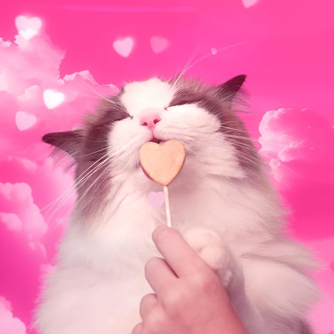 Bonkers Purrpops Freeze-Dried Tuna Flavored Lollipop Treats for Cats, 4 Pack (Pack of 13)