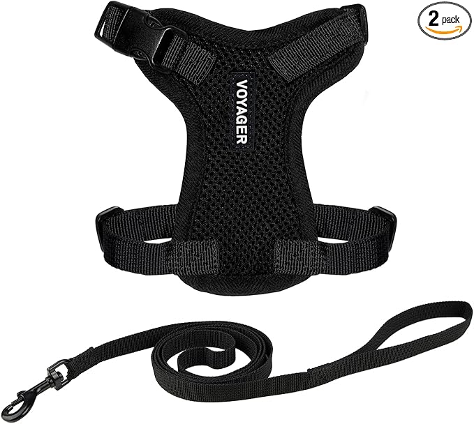 Voyager Escape-Proof Step-in Lock Cat Harness & 5ft Neoprene-Handle Leash Set All-Weather Mesh with Reflective Stitching for Small to Large Cats by Best Pet Supplies, Black, XXS