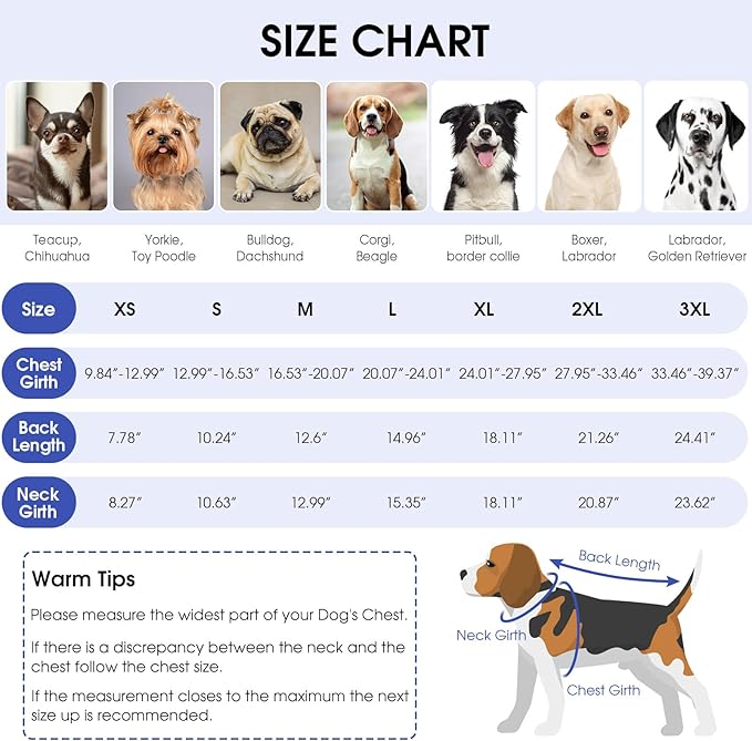 Queenmore Recovery Suit for Dogs, Dog Surgical Recovery Suit Onesie,Anti Licking Pet Female Spayed Neutered Puppy Surgical Clothes for Abdominal Wounds, Substitute E-Collar & Cone, Sky Blue,L