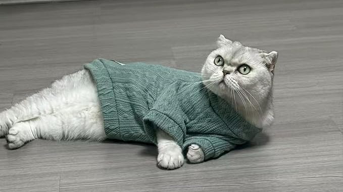 Kitten Clothes, Dog Cat Sweaters Pet Puppy Knitwear Costume Fall Winter Coat for Small Medium Cats Dog Girl Boy Fit 2.2-23lb