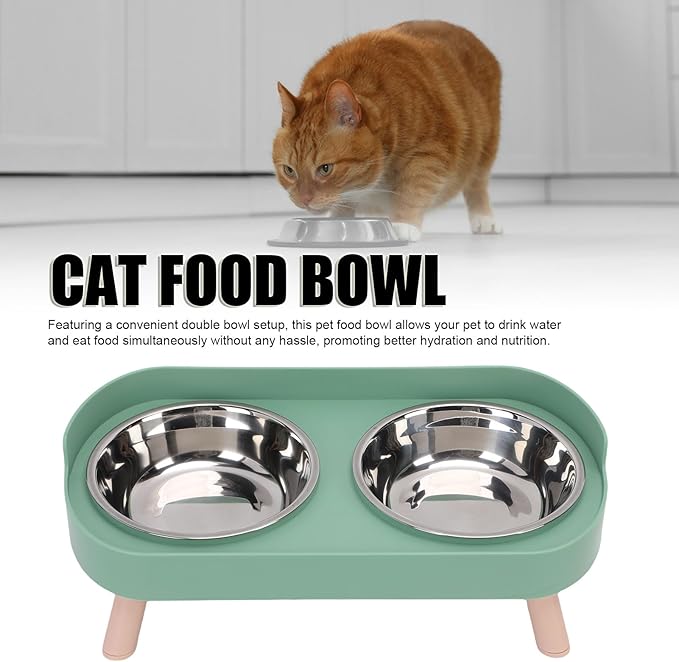 AYNEFY Elevated Cat Bowl,Tilt Proof Stainless Steel Integrated Double Elevated Pet Water Food Bowl Raised Cat Food and Water Dish for Cats and Small Dogs (Avocado Green)