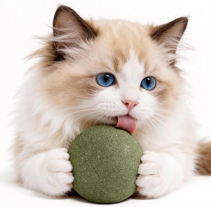 3.94 Inches Giant Catnip Ball, Lickable Cat Nip Ball, Interactive Cat Balls for Bored Adult Cats Indoor, Jumbo Kitty Teeth Cleaning Chew Dental Toy