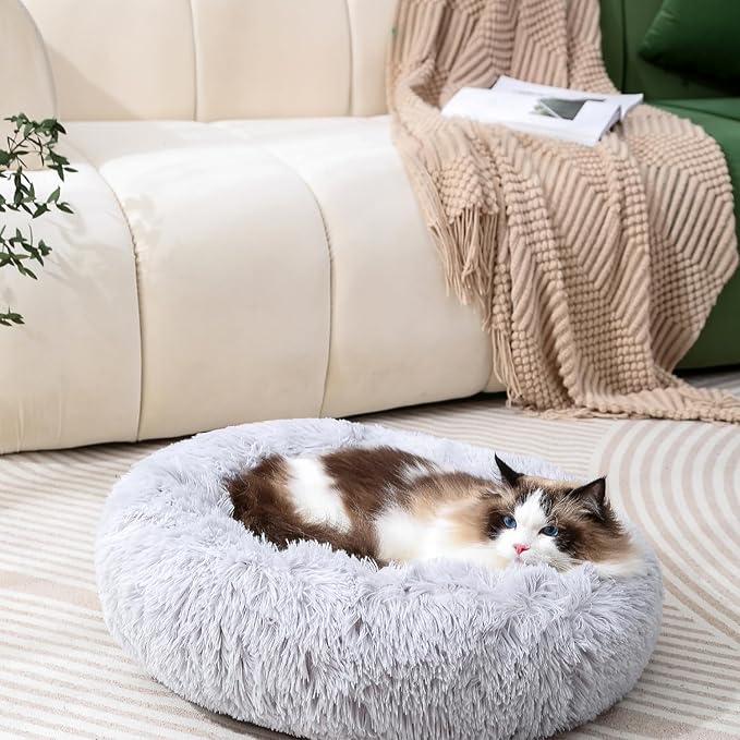 Tiny Cat Bed Kitten Bed Bunny Bed Ultra Soft Cushion Dog Bed Non Slip Bottom Puppy Bed for Baby Kittens Indoor Use for 3KG