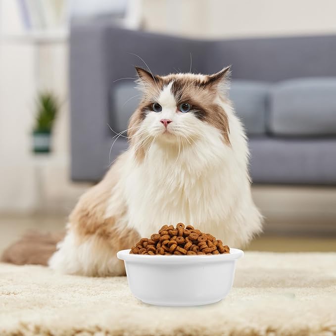 Ceramic Cat Bowl Reusable Pet Food Container Food and Water Feeder Sturdy Rice White Single Bowl Indoor Use