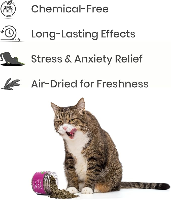 Catnip for Cats with Leaves and Flower Seeds 100% Natural and Organic Catnip Premium Cat Nip for Cats & Kittens Used as a Snack or Refillable Catnip Treats for Cats (1/2 Cup)