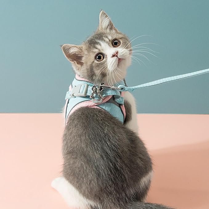 Cat Harness and Leash Set, Cat Leash and Harness Set with Reflective Strips, Escape Proof Adjustable Cat Harness, for Small Medium Large Pet Puppy Kitten Rabbit (Orange Green, 3XL)