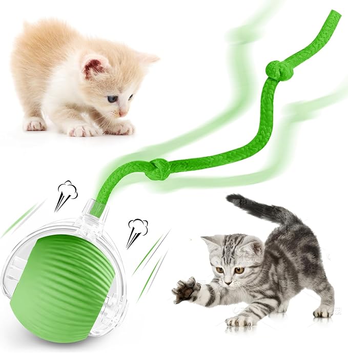 Interactive Cat Ball Toys for Indoor Cats, Upgraded Automatic Cat Toys for Bored Indoor Adult Kitty, Peppy Pet Ball for Cats, 360°Smart Rolling Kitty Balls Toy (Green)